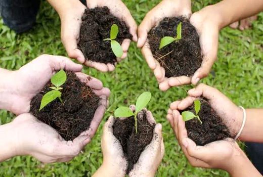 نبود انسجام سازمانی مهم‌ترین چالش حفاظت خاک و مدیریت حوزه‌های آبخیز شهری است