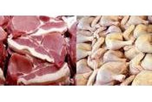 2100 تن گوشت در بابل تولید شد/ ارزش اقتصادی 1870 میلیاردی