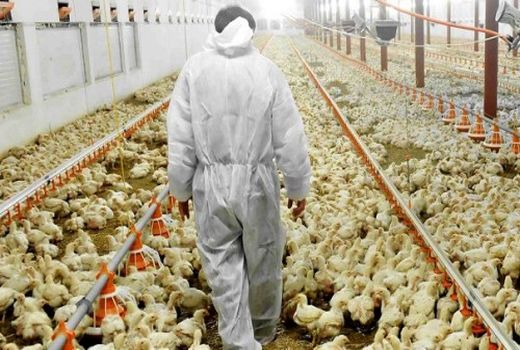 خوزستان نمره خوبی در مهار آنفلوانزا می‌گیرد