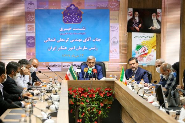 افزایش 33 درصدی بهرهوری خوراک دام با اجرای طرح زنجیره تولید گوشت قرمز