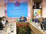 افزایش 33 درصدی بهره‌وری خوراک دام با اجرای طرح زنجیره تولید گوشت قرمز