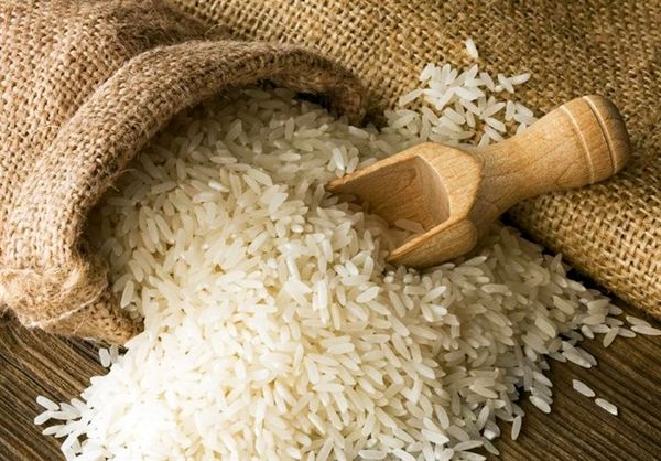 میانگین قیمت برنج بالاتر از نرخ‌های مصوب