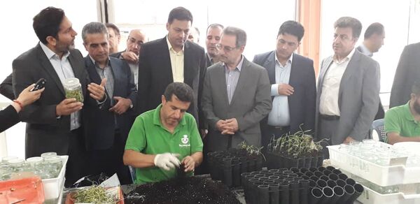 بازدید استاندار تهران از بزرگ‌ترین شرکت زیست‌فناوری گیاهی ایران در ملارد