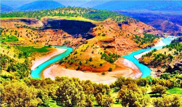 طغیان آفت جوانه‌خوار بلوط در 700 هکتار از جنگل های چهارمحال و بختیاری 