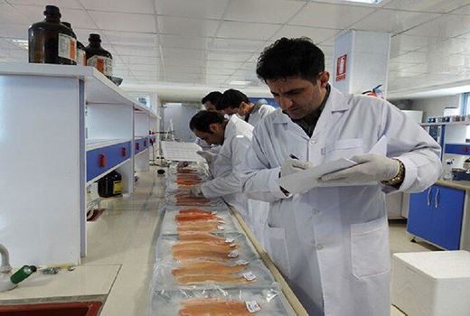 تکمیل زنجیره آبزی‌پروری در چهارمحال و بختیاری