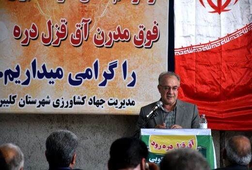 برندسازی برای برنج یک ضرورت است