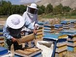 تمام زنبورداران موظف به دریافت مجوز اسکان هستند