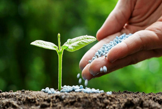 تامین 1 میلیون و 175 هزار تن کود یارانه‌ای در سال جاری