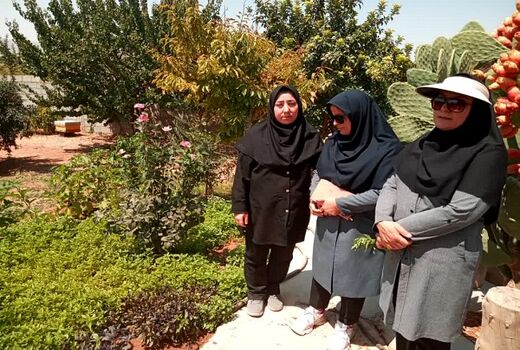 ایجاد 5 باغچه سلامت توسط بانوان شهرستان بیضا