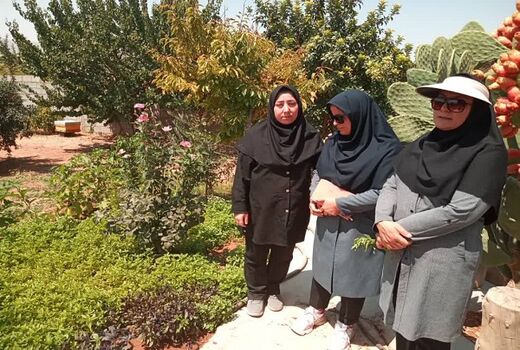 ایجاد 5 باغچه سلامت توسط بانوان شهرستان بیضا