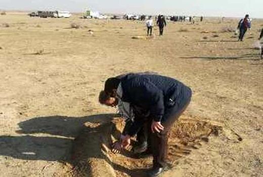 عملیات بذرکاری در سطح ۸۵۰هکتار از اراضی سیاهکوه اجرا شد