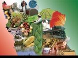 12طرح منابع طبیعی وآبخیزداری در دهه فجر امسال افتتاح می‌شود