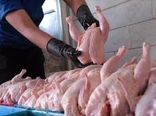 افزایش 24 درصدی تولید گوشت مرغ در فارس 