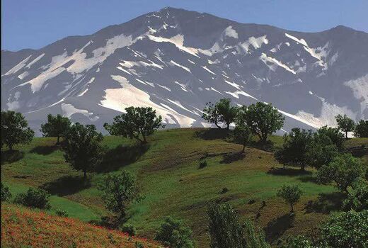 کوهرنگ، پایلوت اقتصاد سبز در کشور 