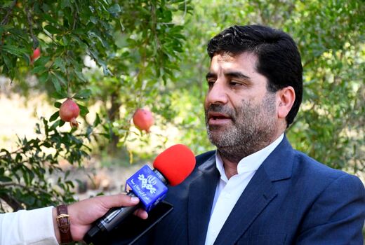 شهرستان جلفا رتبه اول استان آذربایجان شرقی در زمینه کشت و تولید انار و انجیر