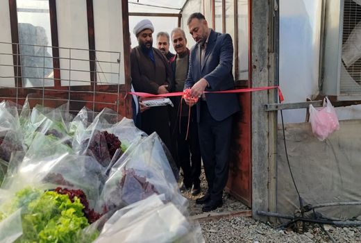 آغاز بهره برداری از یک واحد گلخانه ای در روستای فرخ آباد شهرستان فردیس 