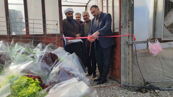 آغاز بهره برداری از یک واحد گلخانه ای در روستای فرخ آباد شهرستان فردیس 