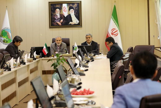 نهضت جنگل کاری برای بهبود حیات بشر ضروری است