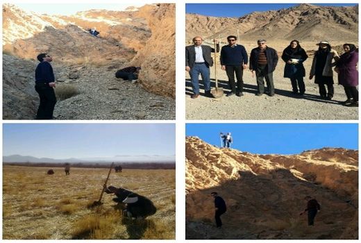 پایش اماکن زمستان گذرانی سن غلات در آباده