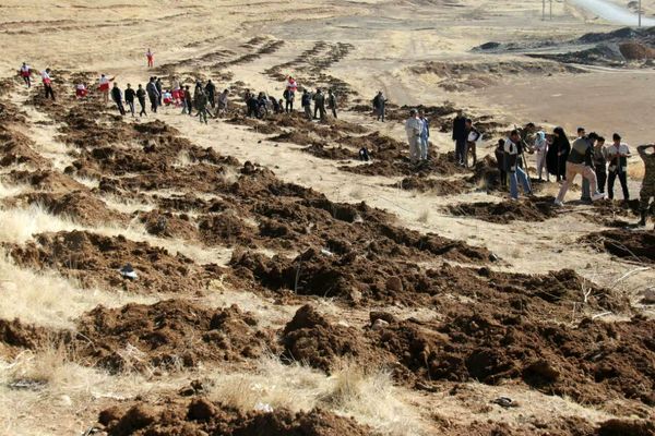 اهمیت حفاظت و نگهداری از نهال ها بعد از کاشت