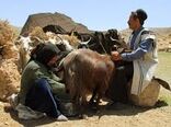 اعطای 460 میلیارد تومان تسهیلات به کوچ نشینان خوزستان