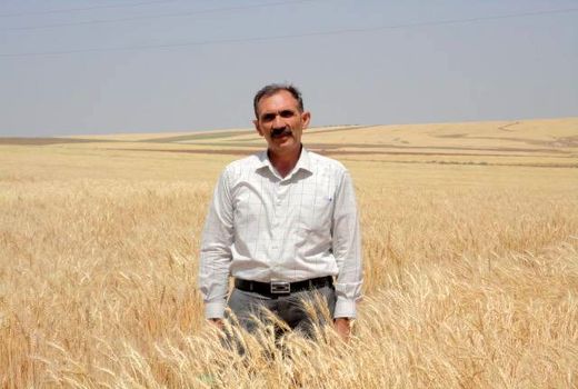 اجرای جهش تولید در دیم‌زارها با 8 اقدام اساسی