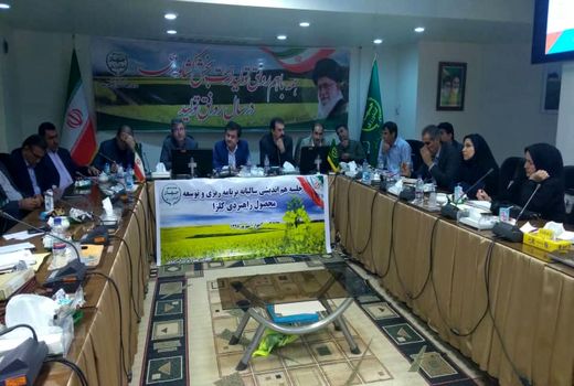 خوزستان، رتبه دوم تولید کلزای کشور