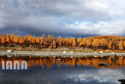 پاییز زیبا در روسیه 