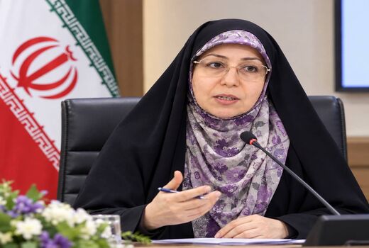 دستاوردهای زنان ایران در مجامع جهانی معرفی شود/ فعالیت ۱۶۱ تعاونی زنان با ۱۵ هزار عضو 