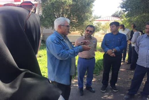 برگزاری روز انتقال یافته های تحقیقاتی زیتون در منطقه طارم سفلی