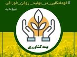 حق بیمه کلزا با مطالبات کشاورزان تهاتر می شود