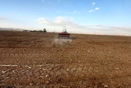 آغاز کشت پاییزه محصولات کشاورزی در زرقان