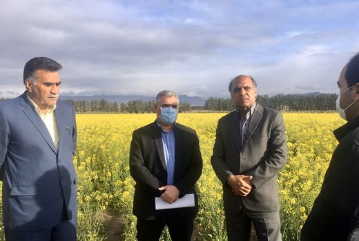 بازدید رییس سازمان جهاد کشاورزی خراسان جنوبی و هیئت همراه از مزارع شهرستان خوسف