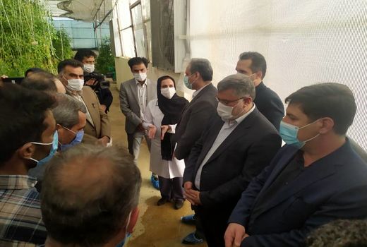 بازدید وزیر جهاد کشاورزی و هئیت همراه از مجتمع گلخانه ای محمدیه خوسف