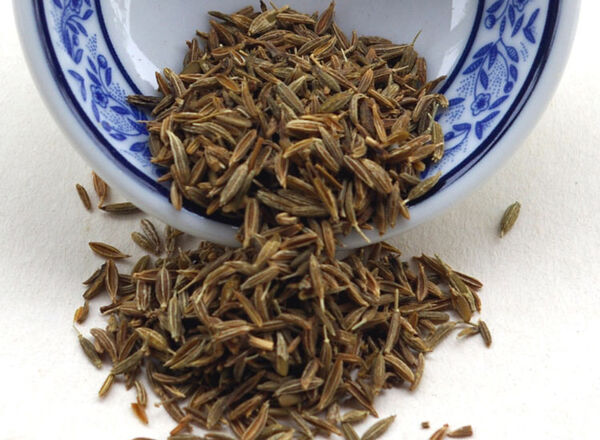 کاشت  زیره سبز در سطح  0.5 هکتار از اراضی موقوفه بیاض در شهرستان انار انجام شد.