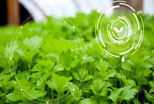 کاربرد نانوفناوری در کشاورزی مدرن