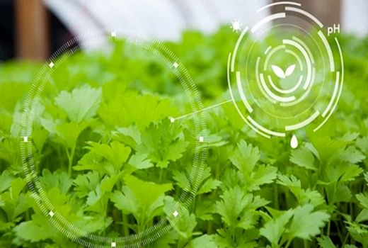 کاربرد نانوفناوری در کشاورزی مدرن