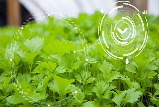 کاربرد نانوفناوری در کشاورزی مدرن