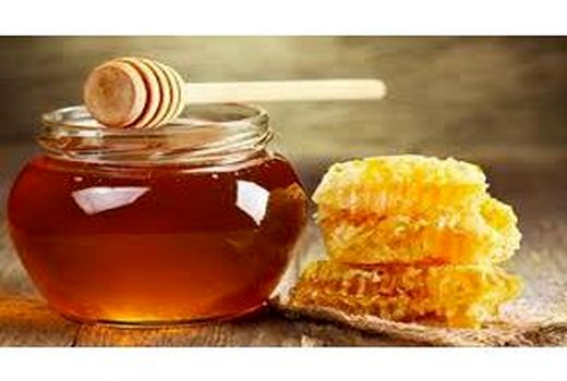 220 تن عسل در ساری تولید شد