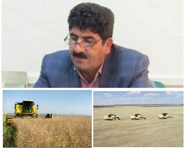 افزایش ۹ درصدی خرید تضمینی گندم نسبت به سال گذشته