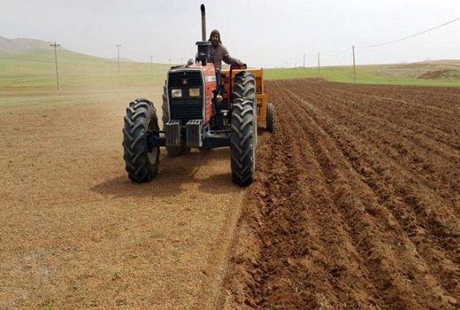  بهره‌مندی کشاورزان بوشهر از سیاست‌های تشویقی دولت برای کشت قراردادی گندم 