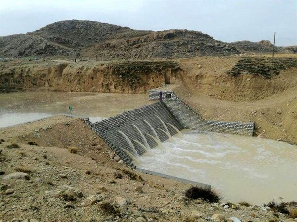 7 پروژه آبخیزداری و جنگل کاری در هفته دولت افتتاح می شود