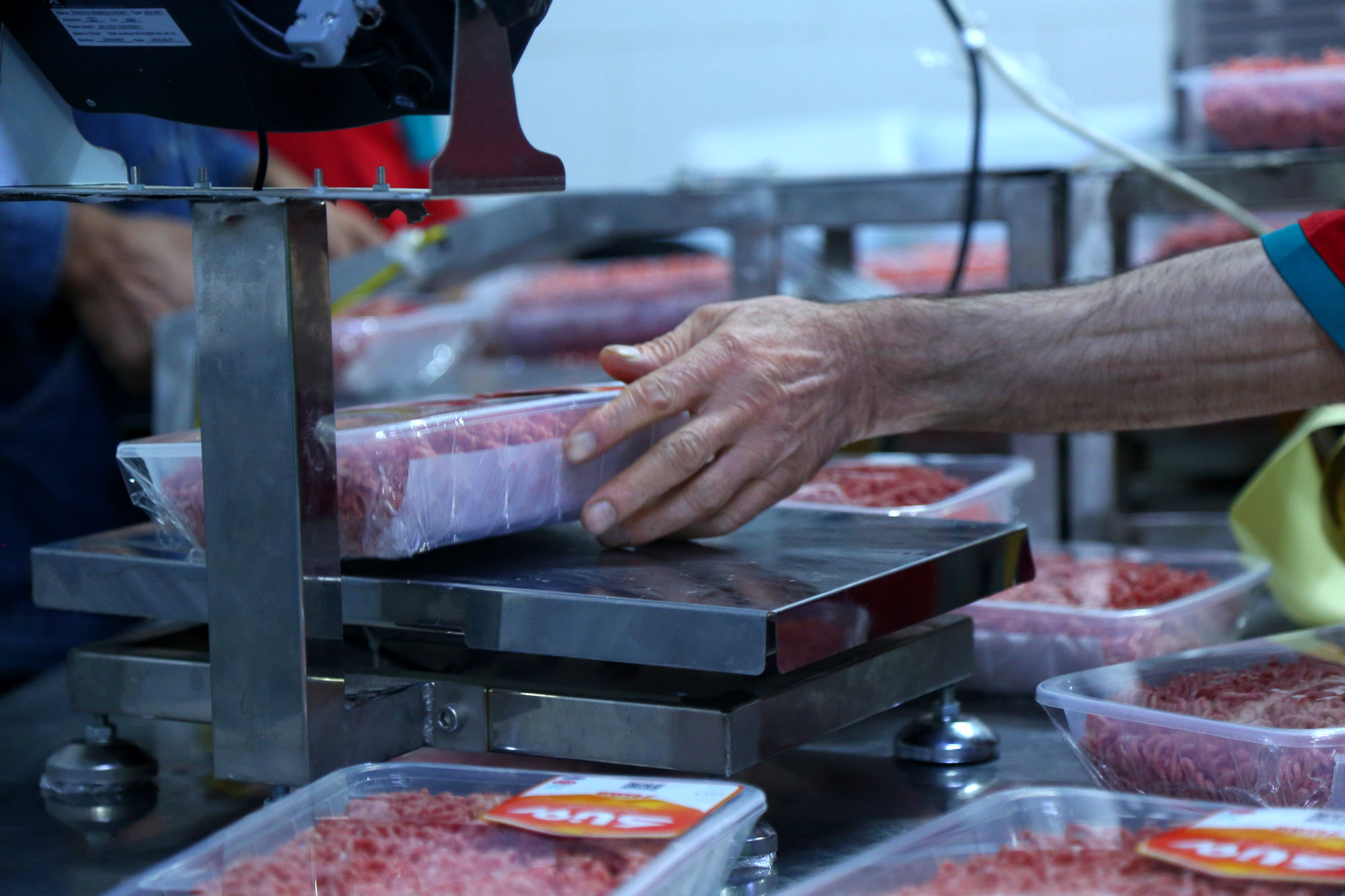 تور رسانه ای به مناسبت هفته دامپزشکی 