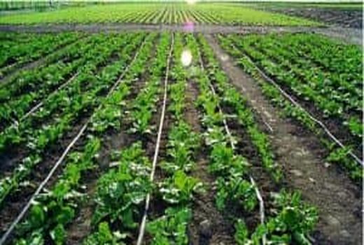 تجهیز ۱۴۰ هکتار از اراضی پایاب سد کلوانس خوی به سیستم های آبیاری نوین