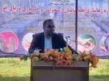 مشارکت کشورهای تازه استقلال یافته در بازسازی ذخایر خزر