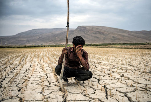محصولی که کشت نشد و کشتی که برداشت نشد