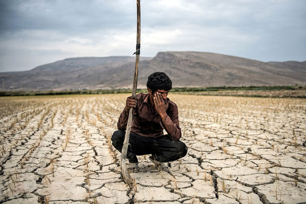 محصولی که کشت نشد و کشتی که برداشت نشد