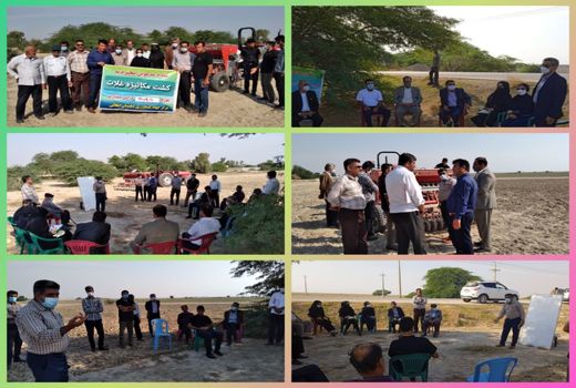 برگزاری کارگاه آموزشی کاشت مکانیزه غلات در شهرستان بوشهر 