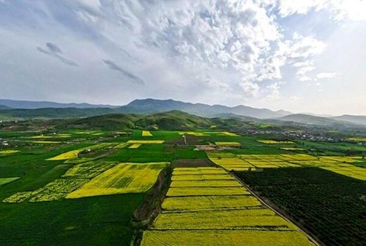 هزار هکتار اراضی غیر ملی در شهرستان دشتستان تثبیت شد