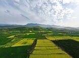هزار هکتار اراضی غیر ملی در شهرستان دشتستان تثبیت شد